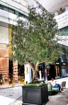درخت زیتون مصنوعی بزرگ سفارشی برای فضای باز