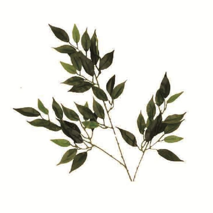 Silk Ficus Benjamin Tree
