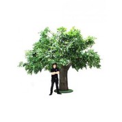 مصنوعی درخت بلوط کهن