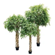 بونسای درختی مصنوعی Banyan