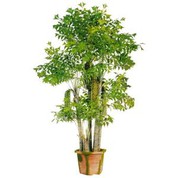 درخت پالم Fishtail مصنوعی