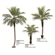 فینیکس مصنوعی Roebelenii درخت