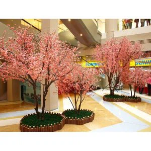 درخت هلو هلو